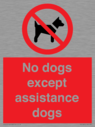 no-dogs-except-assistance-dogs~